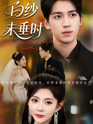 老婆婚礼我当证婚人（54集）免费短剧大全