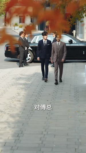 天降萌宝爹地你找错妈咪啦（19集）360网盘观看