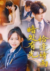 暗处有光恰逢诗雨（70集）免费短剧大全