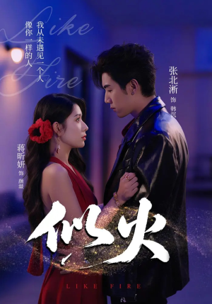 似火（80集）热门短剧来袭