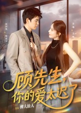 顾先生你的爱太迟了（60集）一个短剧看全集