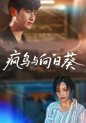 疯鸟与向日葵（40集）高分推荐免费看