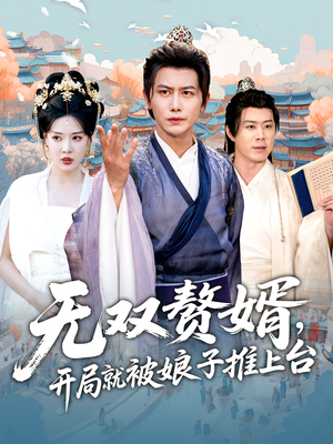 无双赘婿开局就被娘子推上台（80集）全集完整版