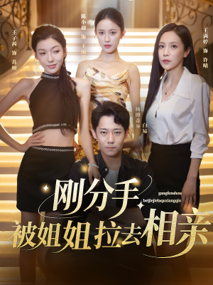 刚分手被姐姐拉去相亲（73集）免费短剧合集