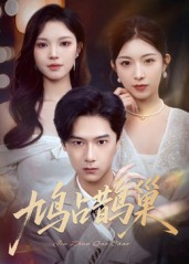 鸠占鹊巢&顶流夫人的致命陷阱（70集）热播短剧免费看