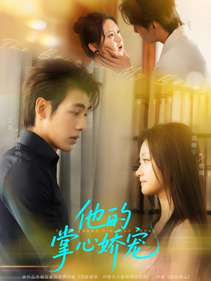 他的掌心娇宠（60集）深深爱上这部剧