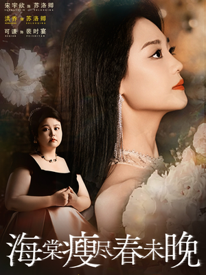 海棠瘦尽春未晚（62集）在线看到大结局
