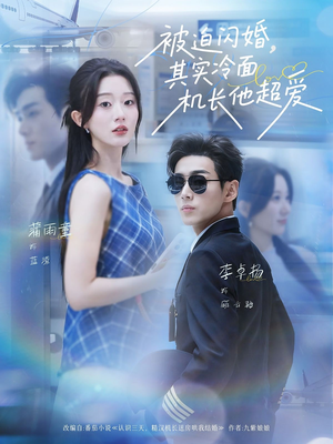 被迫闪婚其实冷面机长他超爱（77集）高质量短剧推荐