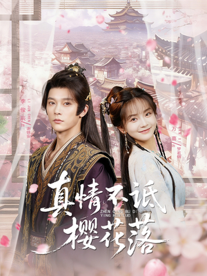 真情不诋樱花落（58集）短剧视频分享