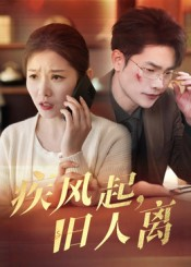 疾风起旧人离（32集）短剧精彩不断