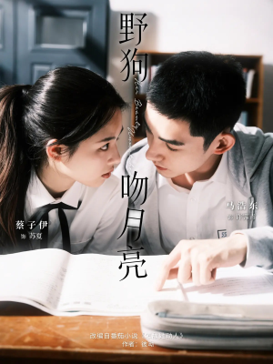 野狗吻月亮（68集）熬夜追短剧