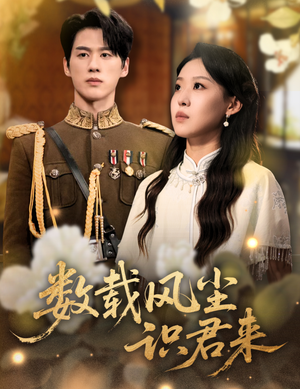 数载风尘识君来（62集）推荐你们也去看