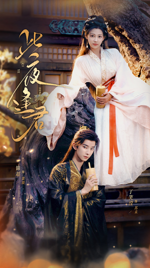 此夜逢君（76集）全集免费