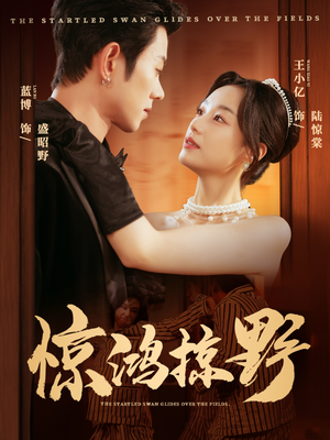 惊鸿掠野（62集）爆款短剧一起追