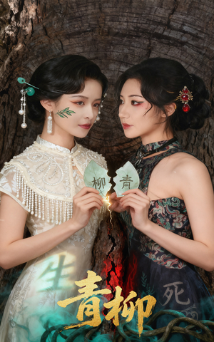 青柳（79集）解说文案