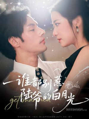 谁都别惹陆爷的白月光（79集）全集免费