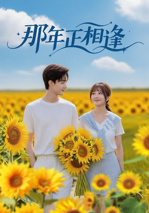 那年正相逢（60集）免费全集短剧