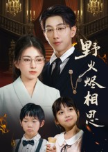 野火烬相思（61集）免费短剧看不停