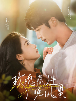 玫瑰藏进晚风里（68集）免费短剧资源