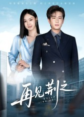 再见荆之（60集）剧情简介