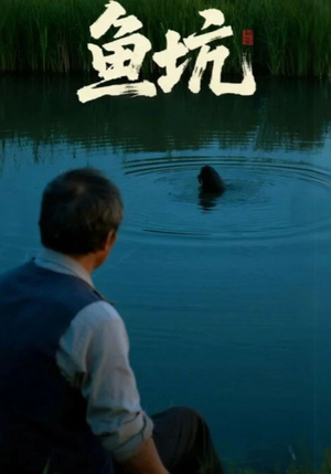 鱼坑（30集）热播短剧追不停