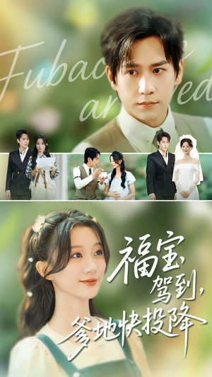 福宝驾到，爹地快投降（100集）百度网盘在线看