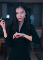 制裁者的游戏（25集）热门火爆短剧