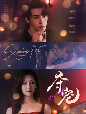 夺宠（88集）最新热门短剧