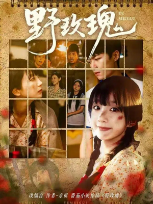 野玫瑰（82集）红果短剧看全集