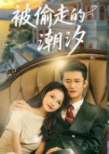 被偷走的潮汐（60集）西瓜短剧免费看