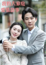 我的大家庭爱情故事（15集）最火短剧推荐