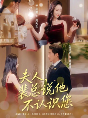 夫人裴总说他不认识您（75集）好看的短剧