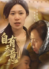 自有天意（35集）不用花钱看全剧
