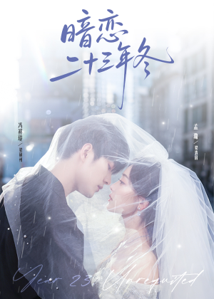 暗恋二十三年冬（60集）火爆热门短剧