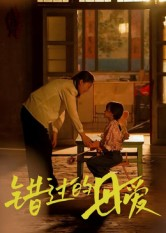 错过的母爱（32集）热播短剧排行榜