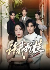 许我折桂（70集）全剧免费观看