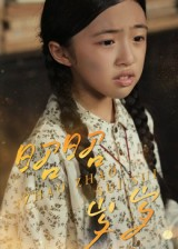 昭昭岁岁（30集）最热短剧推荐