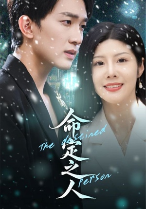 命定之人（56集）免费在线看