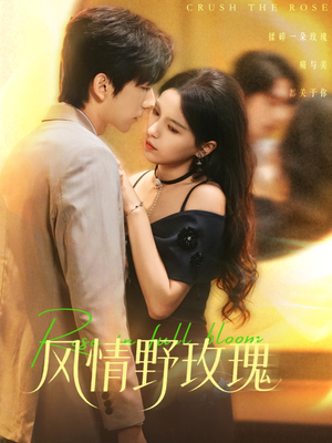 风情野玫瑰（70集）爆款热门短剧
