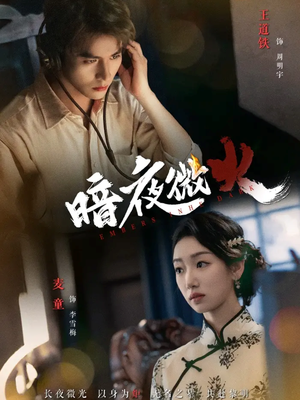 暗夜微火（80集红果短剧看全集