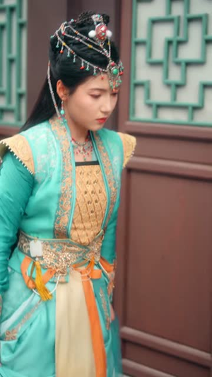 折枝（69集）在线看免费版