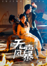 无声风暴(33集) 无声风暴(33集)一口气追完全集