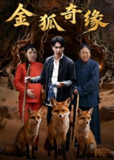 金狐奇缘（42集）好看的短剧推荐