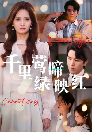 千里莺啼绿映红（63集）火爆热门短剧