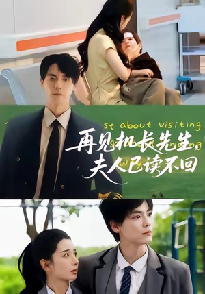 再见机长先生夫人已读不回（62集）免费全集短剧