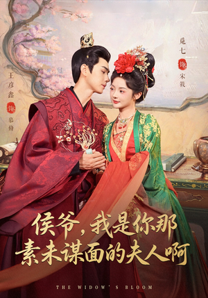 侯爷我是你那素未谋面的夫人啊（80集）红果免费短剧