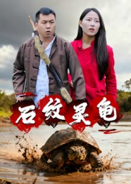 石纹灵龟（30集）视频在线看