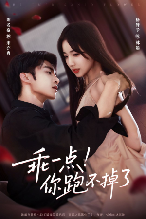 乖一点！你跑不掉了（80集）全季一次看完