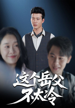 这个岳父不太冷（30集）全集