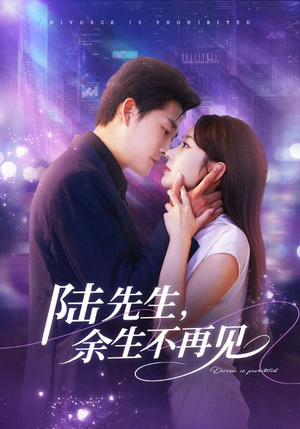 陆先生，余生不再见（88集）全集都在这里了